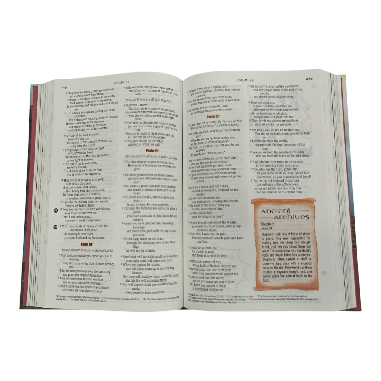 NIV, The Action Study Bible, Hardcover | Epic Comic-Book Style Illustrations by Sergio Cariello (ISBN 9780830772544)