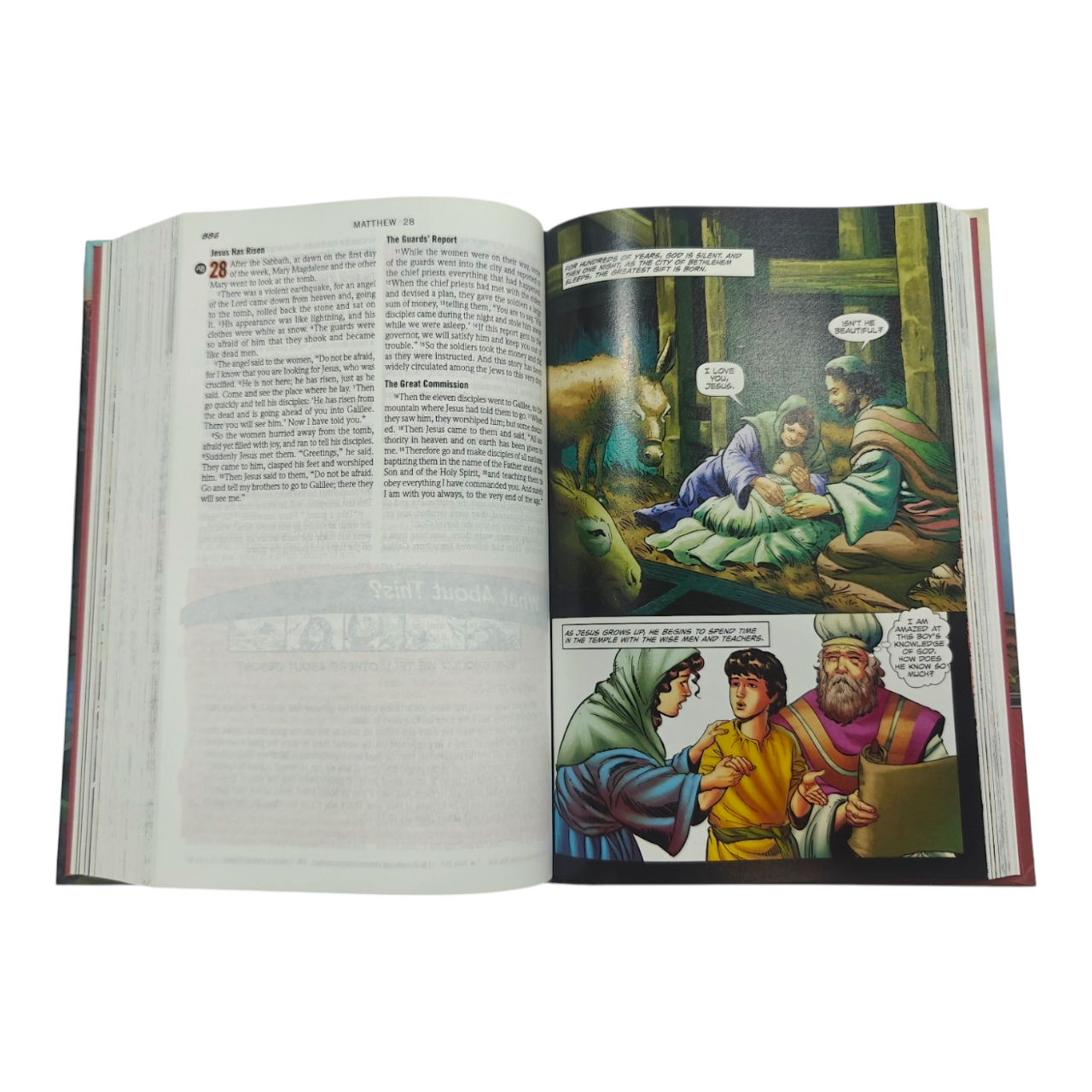 NIV, The Action Study Bible, Hardcover | Epic Comic-Book Style Illustrations by Sergio Cariello (ISBN 9780830772544)