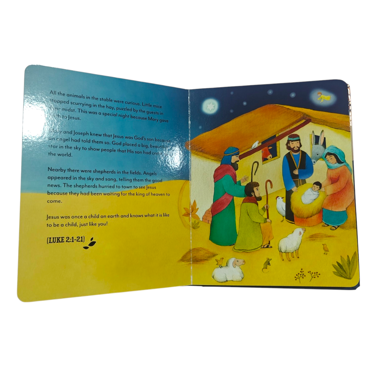 The Picture Bible for Little Ones – “Billedbibelen for de Aller Mindste” | Danish Board Book Bible for Babies & Toddlers, Ages 1–5 | Thick Pages, Bright Illustrations, Simple Faith Stories | ISBN 9788792105714