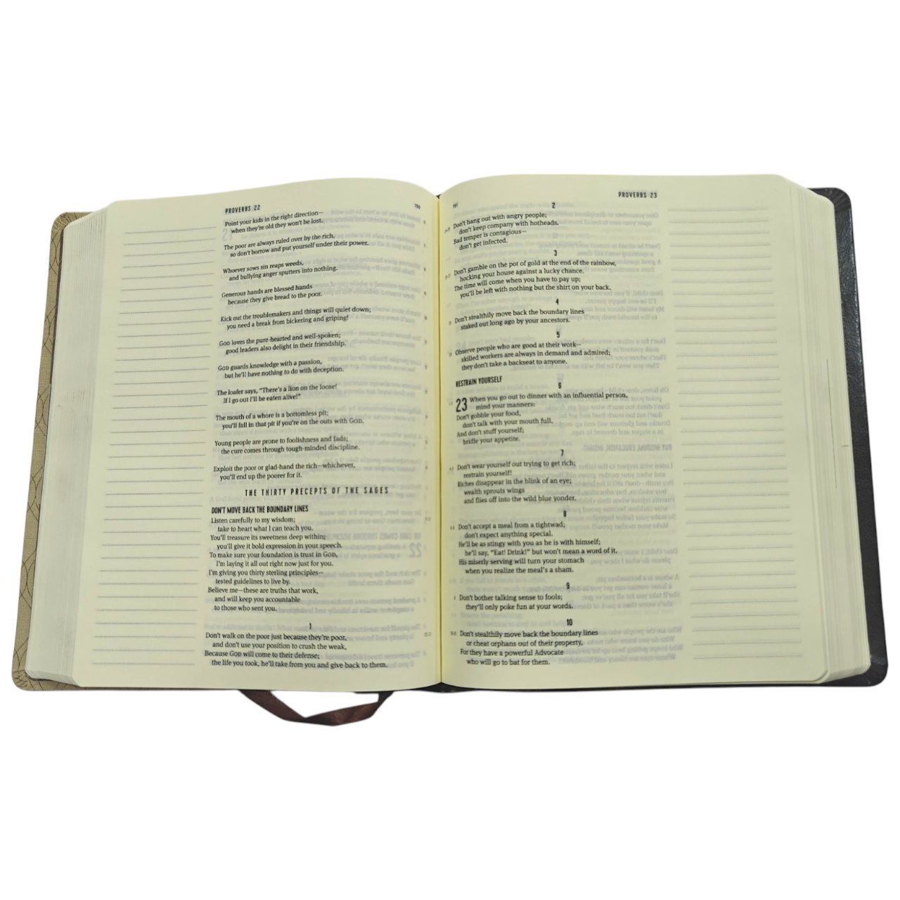 The Scribe Bible – The Message by Eugene H. Peterson | Wide-Margin Journaling Edition, Cream Paper, Leathersoft Cover, Perfect for Artists & Reflective Readers | ISBN 9781631467066