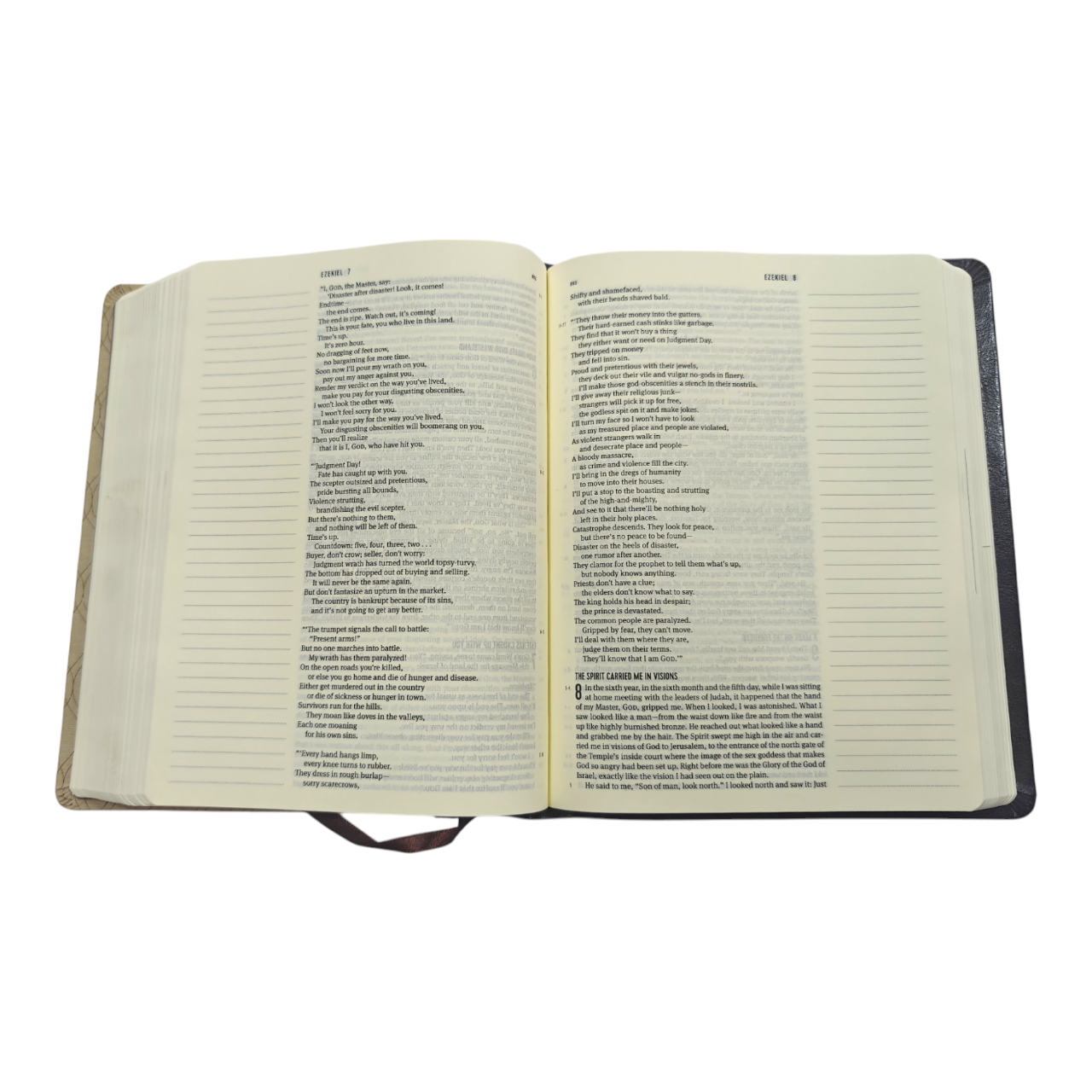 The Scribe Bible – The Message by Eugene H. Peterson | Wide-Margin Journaling Edition, Cream Paper, Leathersoft Cover, Perfect for Artists & Reflective Readers | ISBN 9781631467066