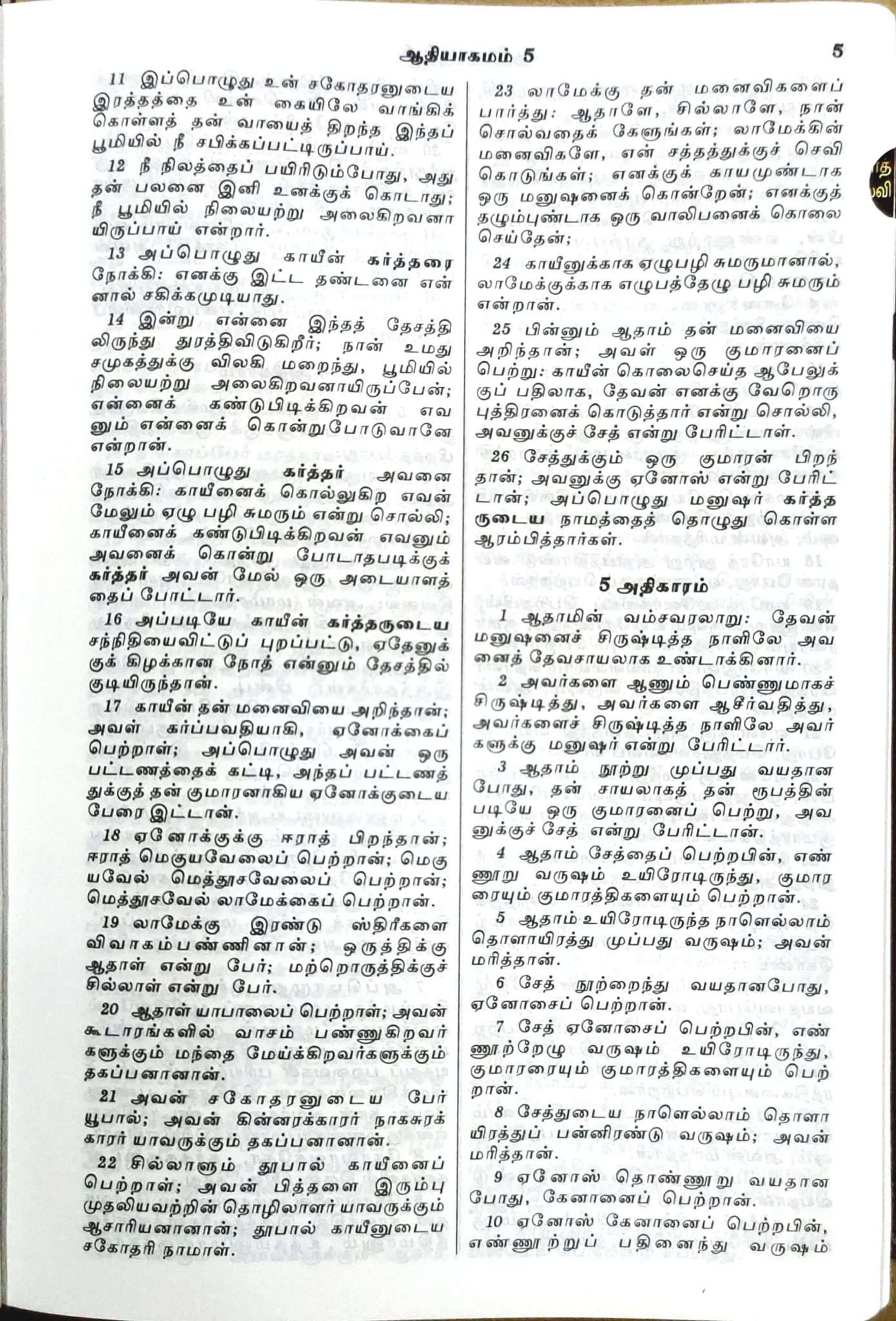 Tamil Bible Semi-Compact Edition, Burgundy Leather Cover with Magnetic Flap and Thumb Index (ISBN: 9788119095919)