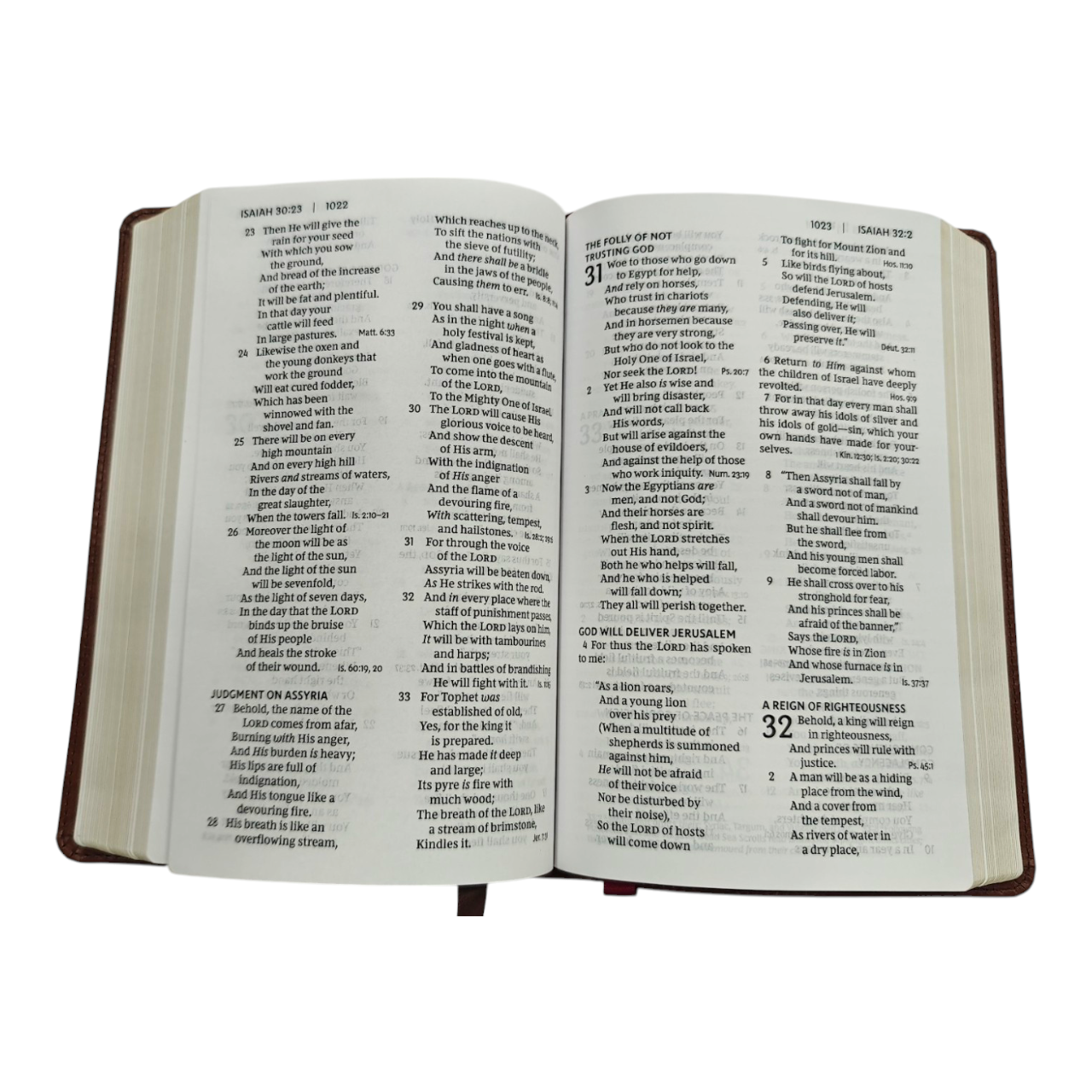 NIV, Verse Art Cover Collection Bible, Pink Floral Leathersoft – A Beautiful and Inspiring Bible for Daily Carry (ISBN 9780785291565)