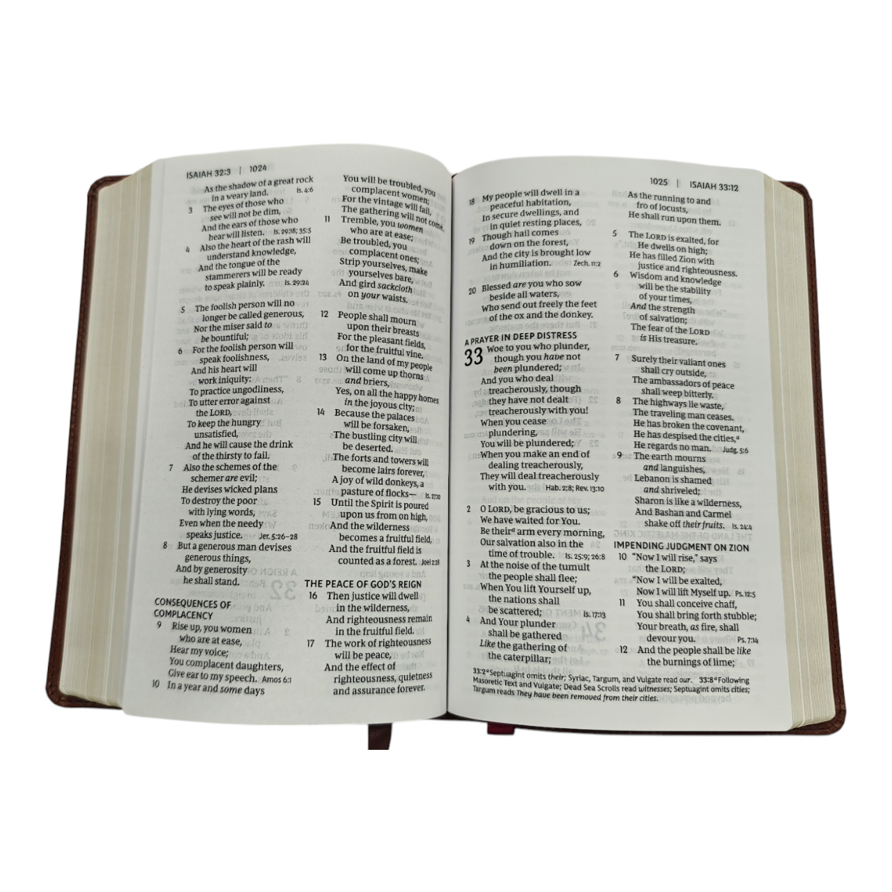 NIV, Verse Art Cover Collection Bible, Pink Floral Leathersoft – A Beautiful and Inspiring Bible for Daily Carry (ISBN 9780785291565)