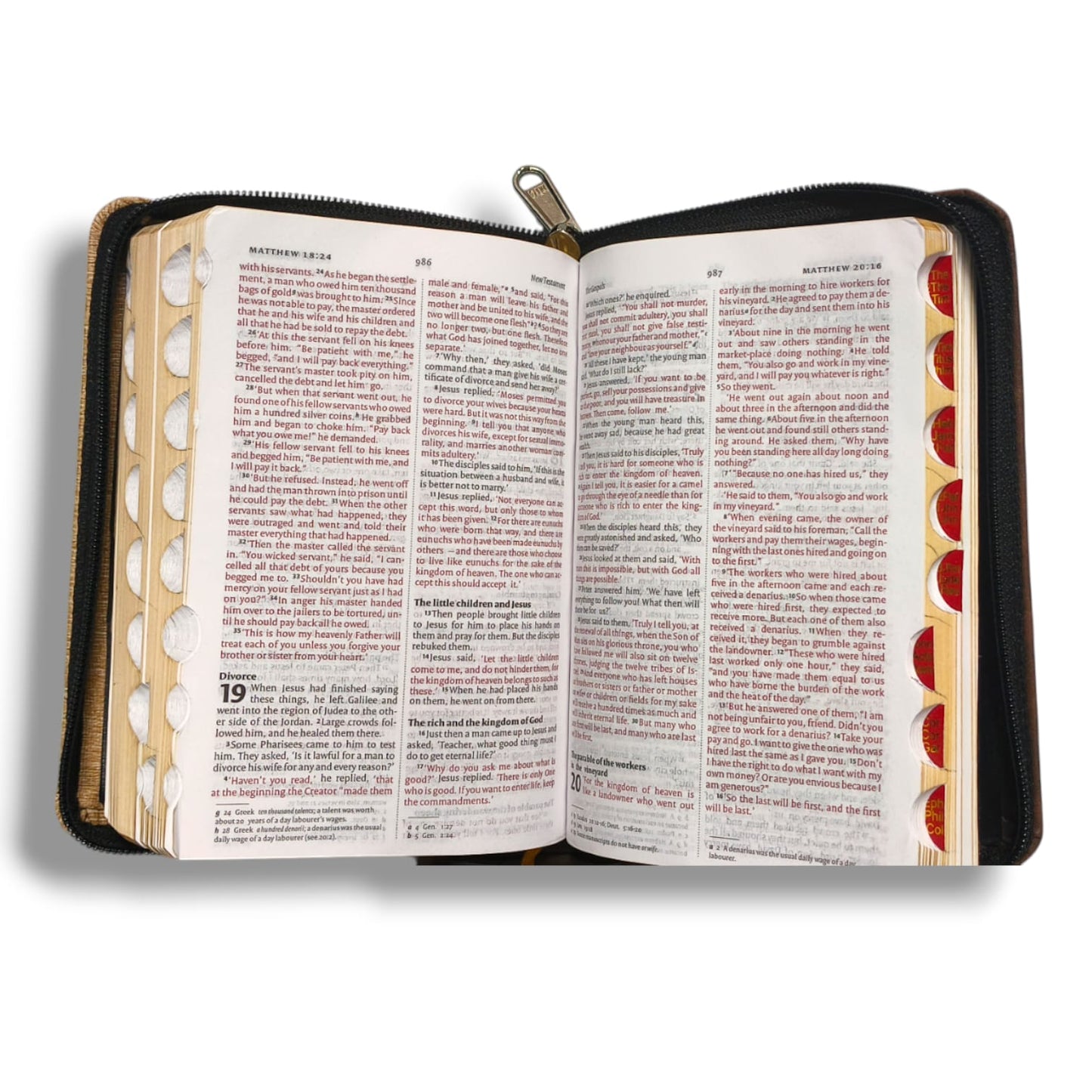 NIV Compact Edition Bible | Thumb Index Bible | With Light Brown & Red Attractive Design Bound |  New Edition Bible Duo-Tone | D
