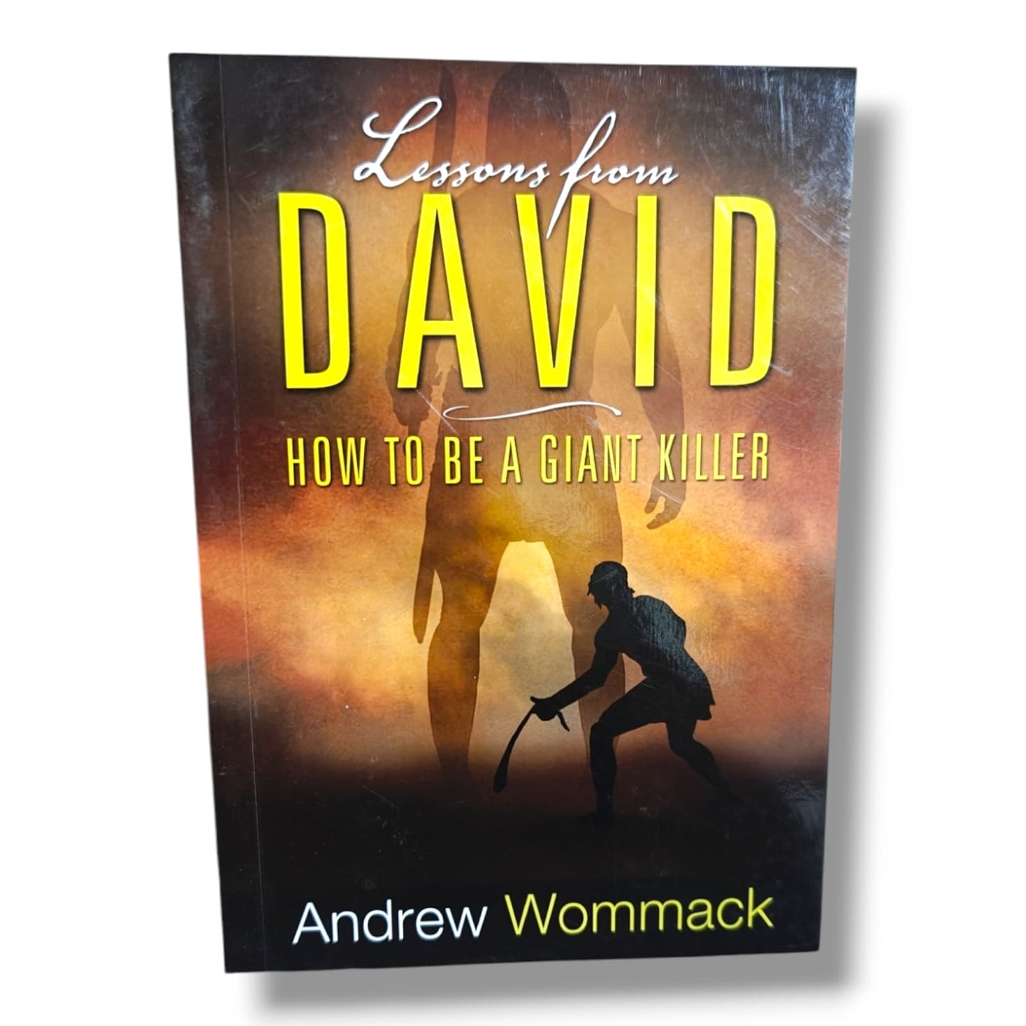 Lessons from David: How to Be a Giant Killer by Andrew Wommack | Christian Books | Christian Spiritual Growth, Bible Study, Faith, Biblical Leadership & Christian Living