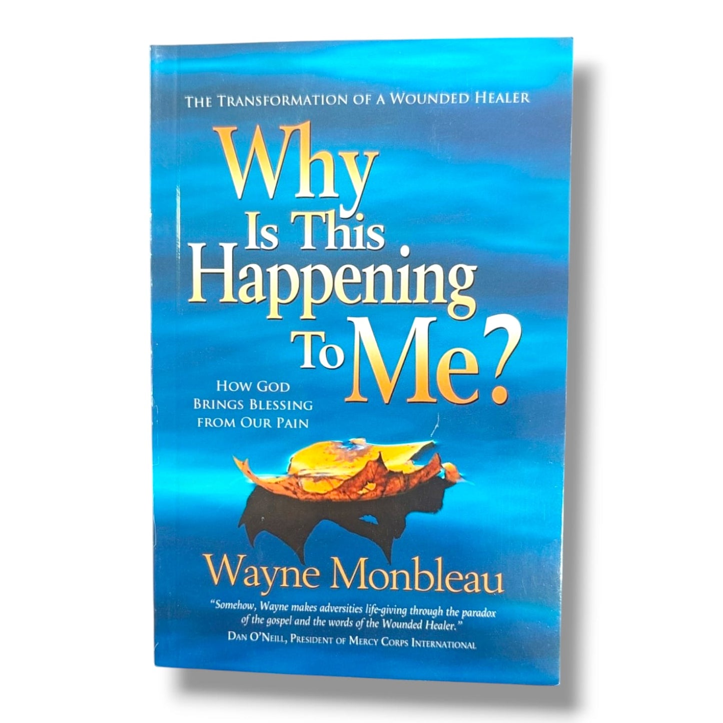 The Transformation of a Wounded Healer | Wayne Monbleau | Christian Faith, Emotional Healing, Hope & Spiritual Transformation Book