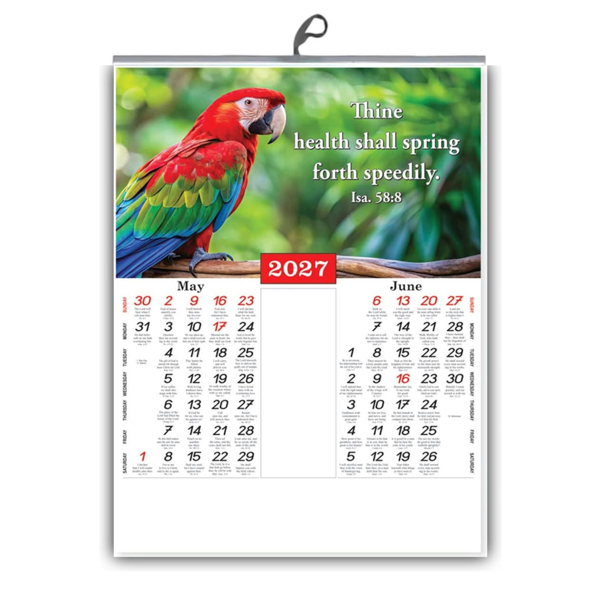 A Window to Wonder – 2027 Small English Scenery Calendar, 15 × 20