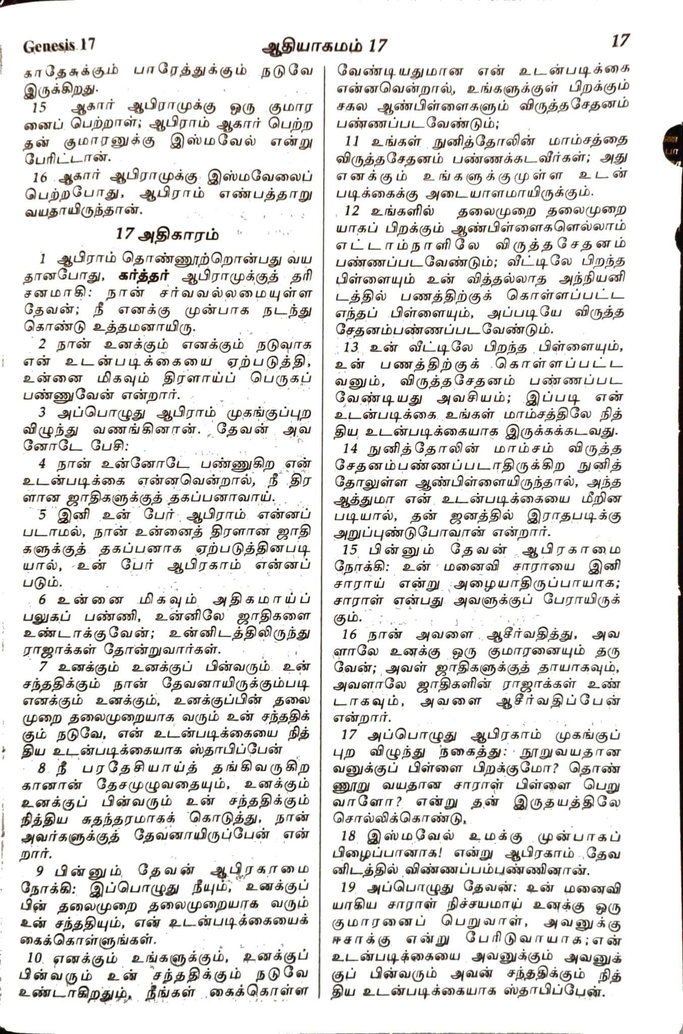Tamil Bible Extra Large Print Pulpit Edition - Black Leather Zip Cover with Thumb Index