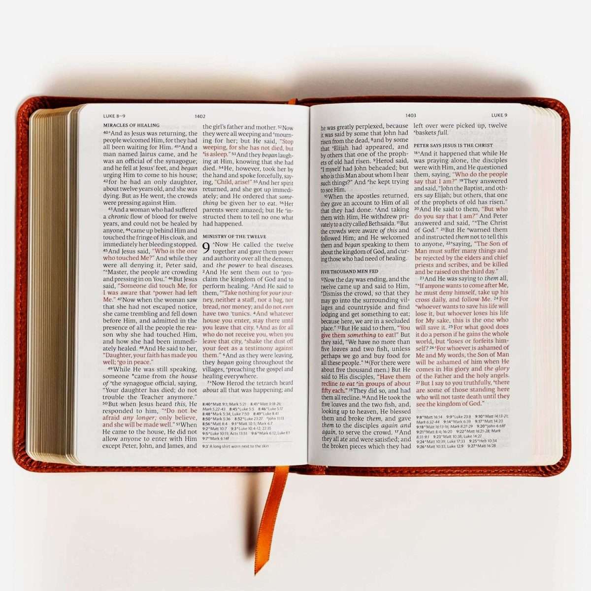 NASB 2020 Edition: Large Print Compact Reference Bible: Brown- Burnt Sienna Leather Soft