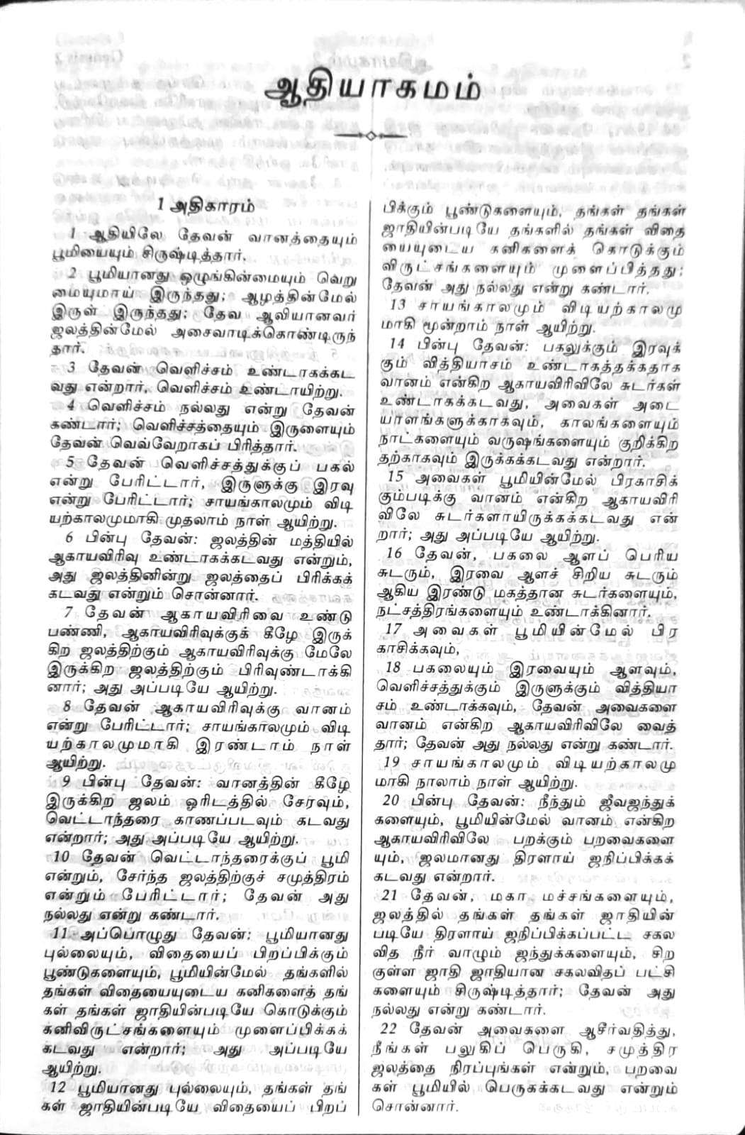 Tamil Bible Semi-Compact Red Letter Edition with Thumb Index - Brown Zippered Cover