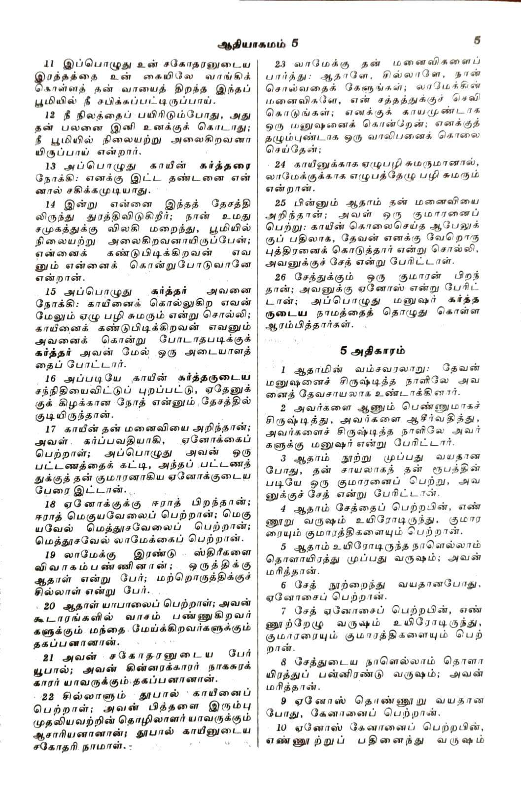 Tamil Bible Royal Size Large Print Edition - Premium Black Hardbound Cover (BSI Authorized)