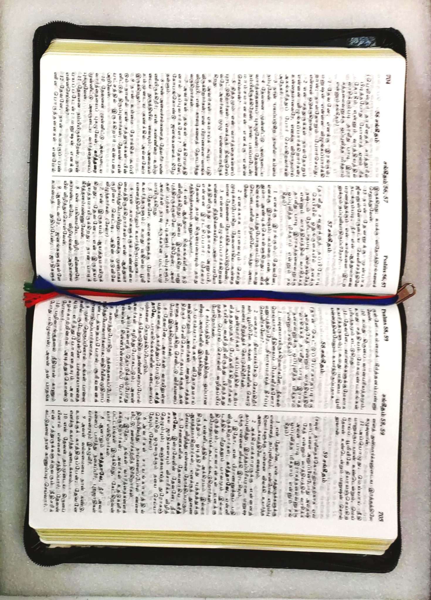 Tamil Bible Royal Size Red Letter Edition with Zipper Closure - Premium Black Leatherette Cover