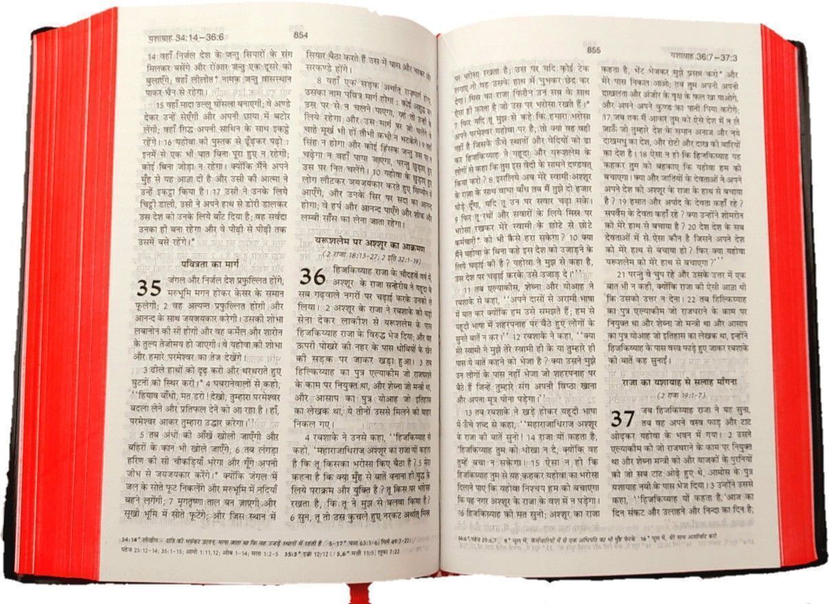 Hindi Holy Bible with New Testament Combo | Old & New Testament Set | Premium Print | Strong Binding | Ideal for Study & Gift