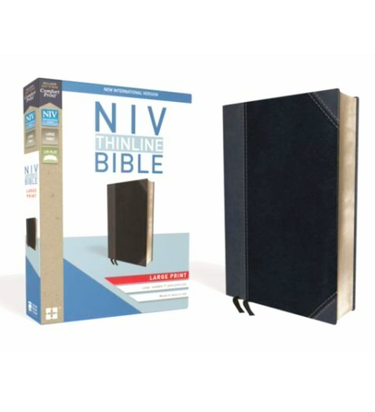 NIV Thinline Bible | Red Letter Edition | Large Print | Black Grey by Zondervan | New Edition