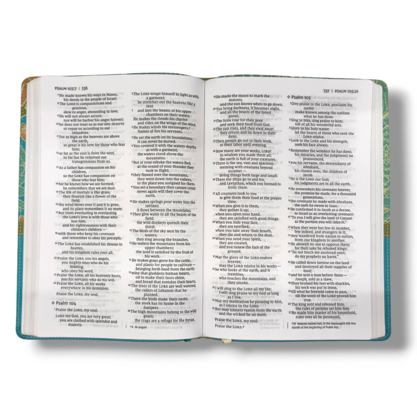 NIV Thinline Bible | Giant Print  | Thinline Giant Print | Imitation Leather | Red Letter Edition | New International Version | Turquoise | Leathersoft | New Edition