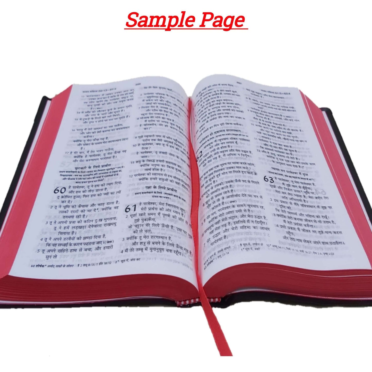 The Holy Hindi (O.V.) Pl Red-Edge Re-Edited Bible With Hindi Bible Story Book