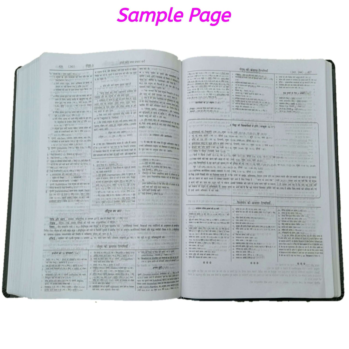 The Holy Hindi Dake Bible , Dake Hindi Bible