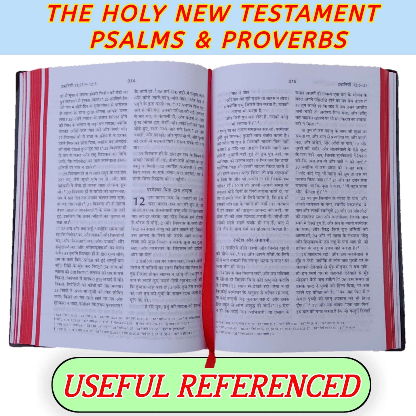 The Holy New Testament Psalms & Proverbs