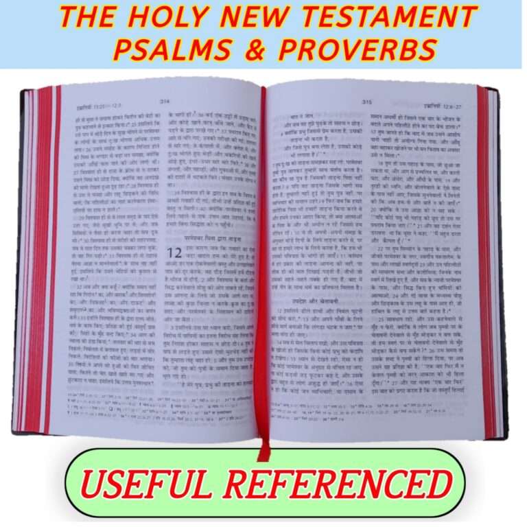 Hindi New Testament Bible