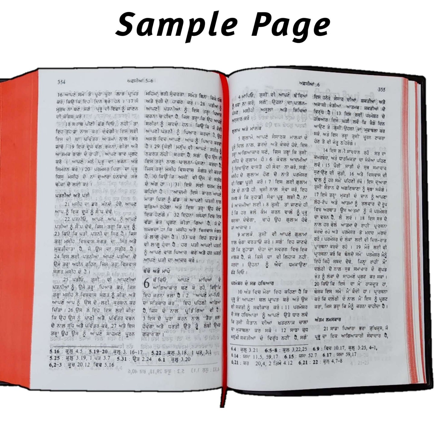 The Holy Punjabi Bible