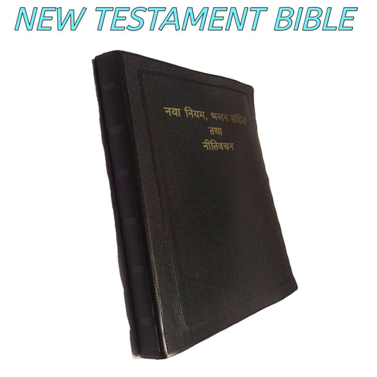Hindi New Testament Bible