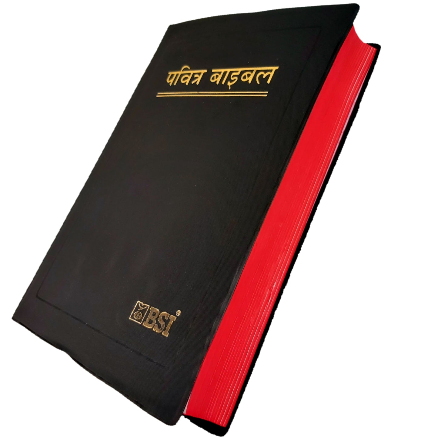 The Holy New Hindi Bible