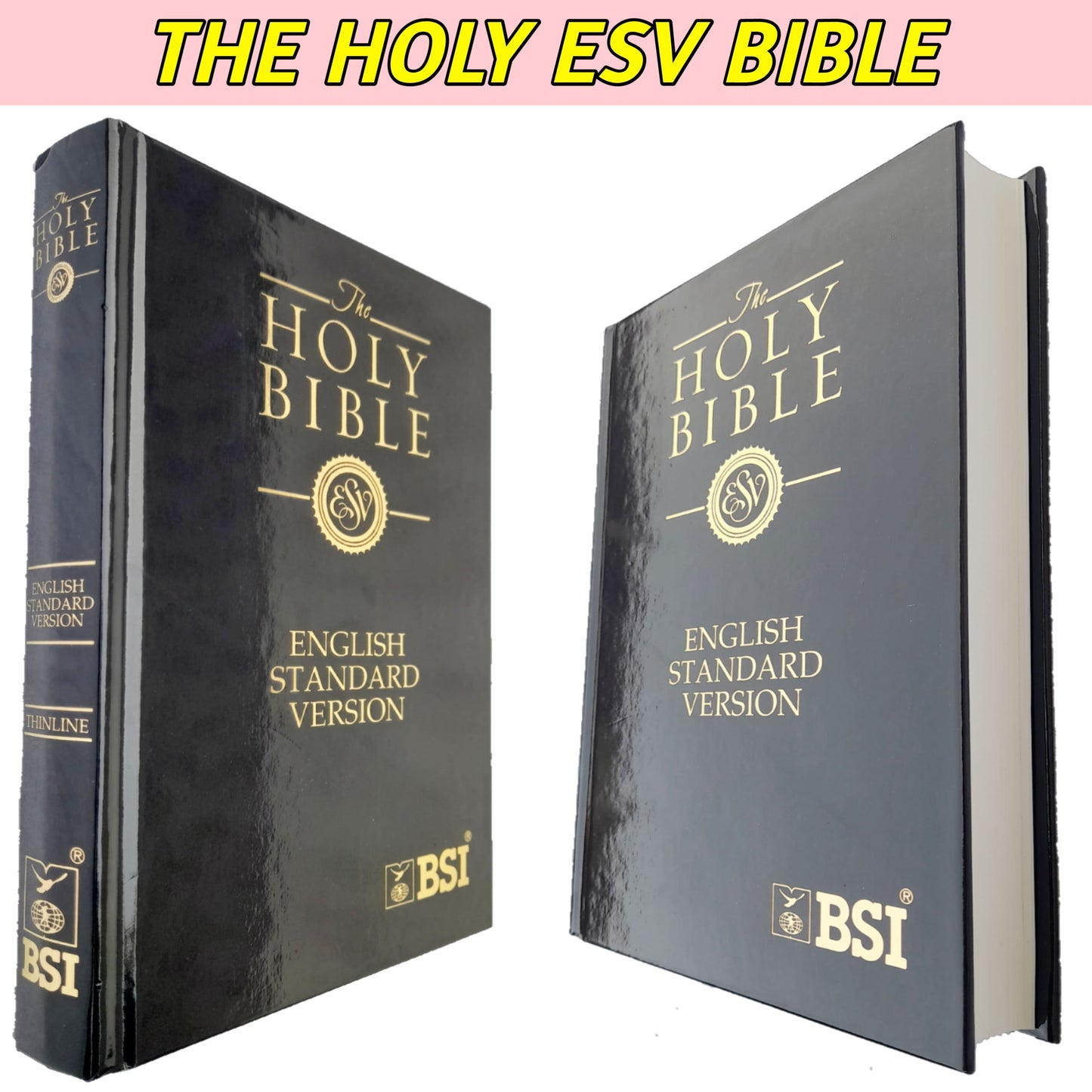 The Holy English Standard Version Bible | (ESV) English Bible