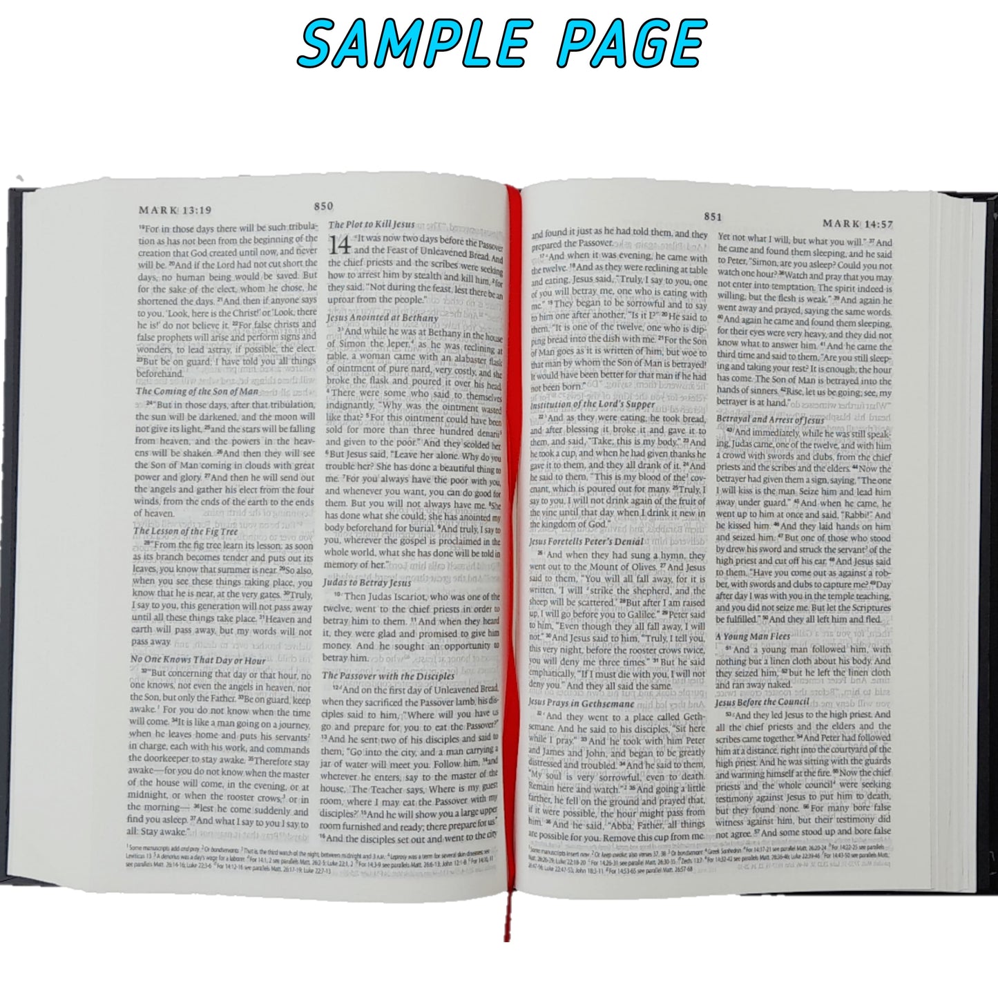 The Holy English Standard Version Bible | (ESV) English Bible