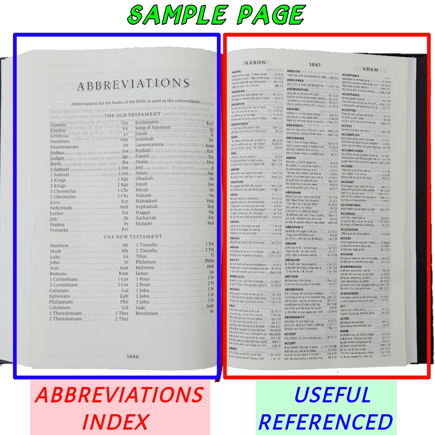 The Holy English Standard Version Bible | (ESV) English Bible