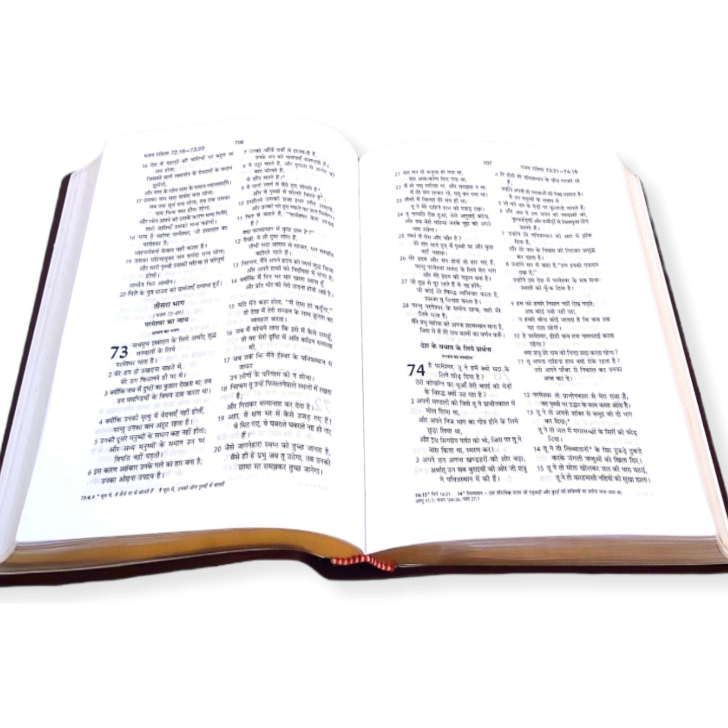 Holy Pulpit Big Letter Golden Edge Bible In Hindi Leather Cover