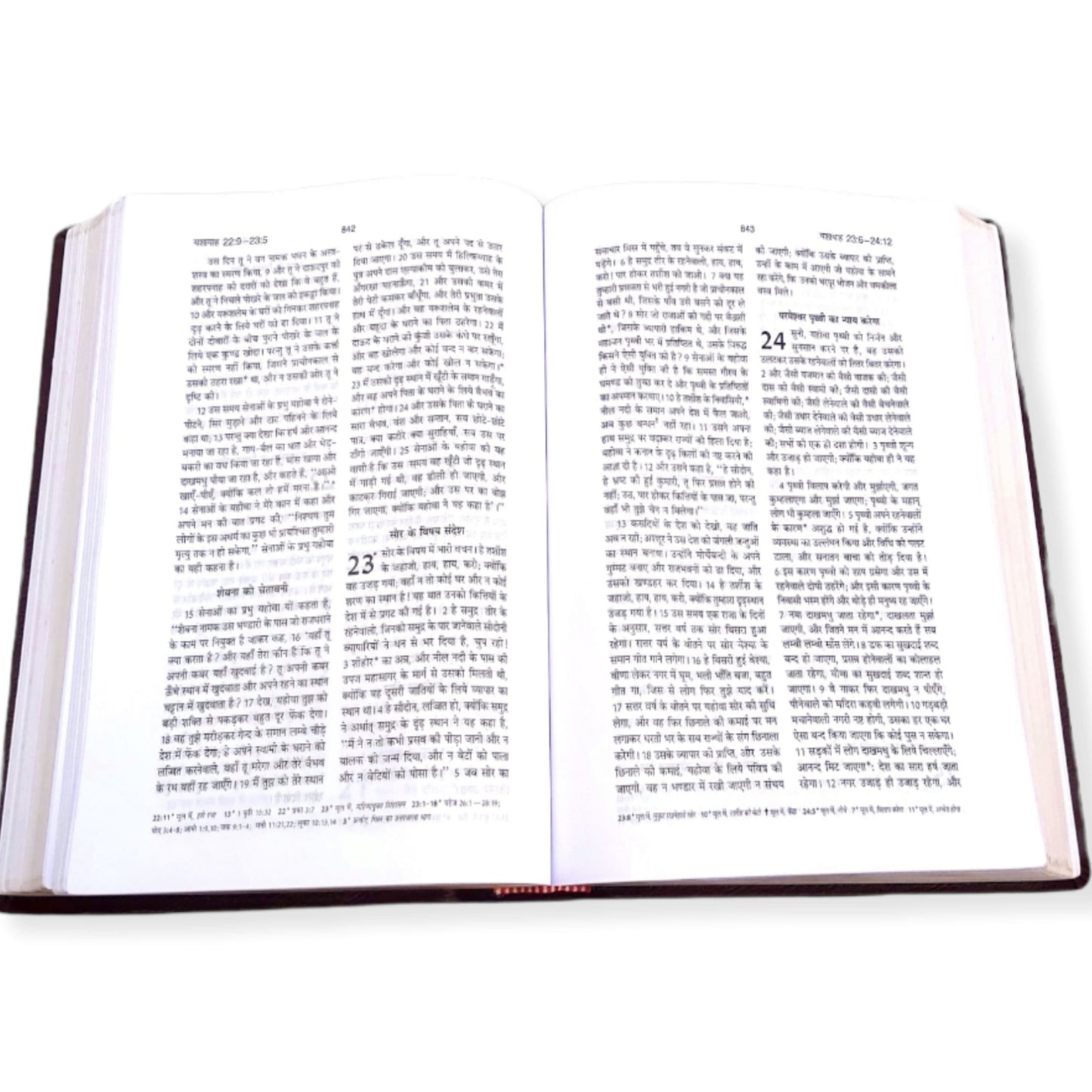 Holy Pulpit Big Letter Golden Edge Bible In Hindi Leather Cover