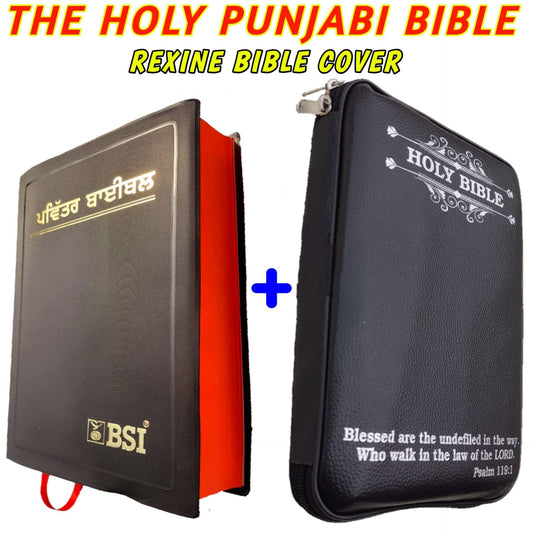 The Holy Punjabi Bible With Best Bible Cover