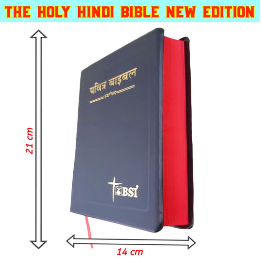 The Holy Bible Hindi New Edition