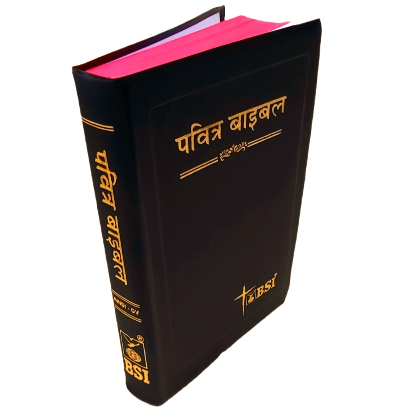 The Holy Bible Hindi New Edition