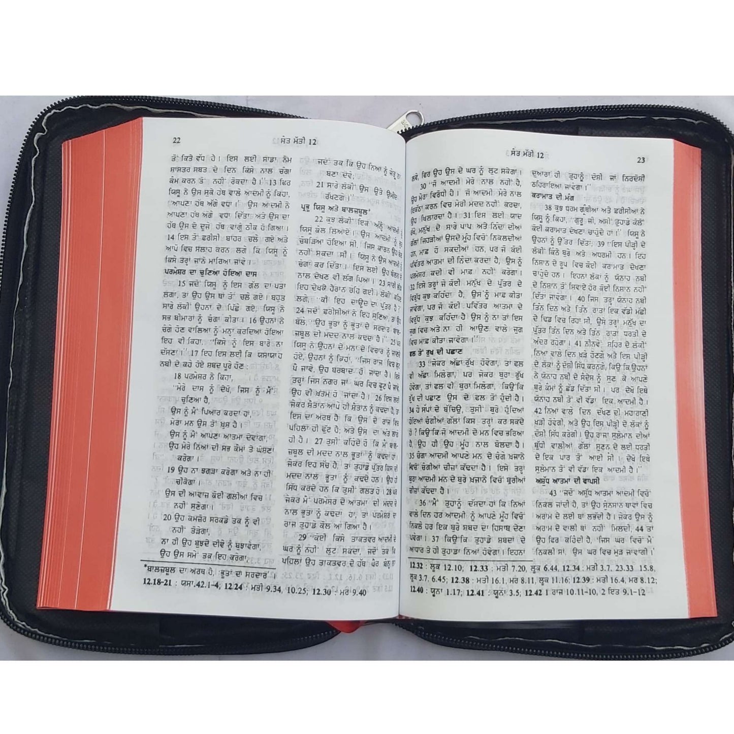 The Holy Punjabi Bible With Best Bible Cover