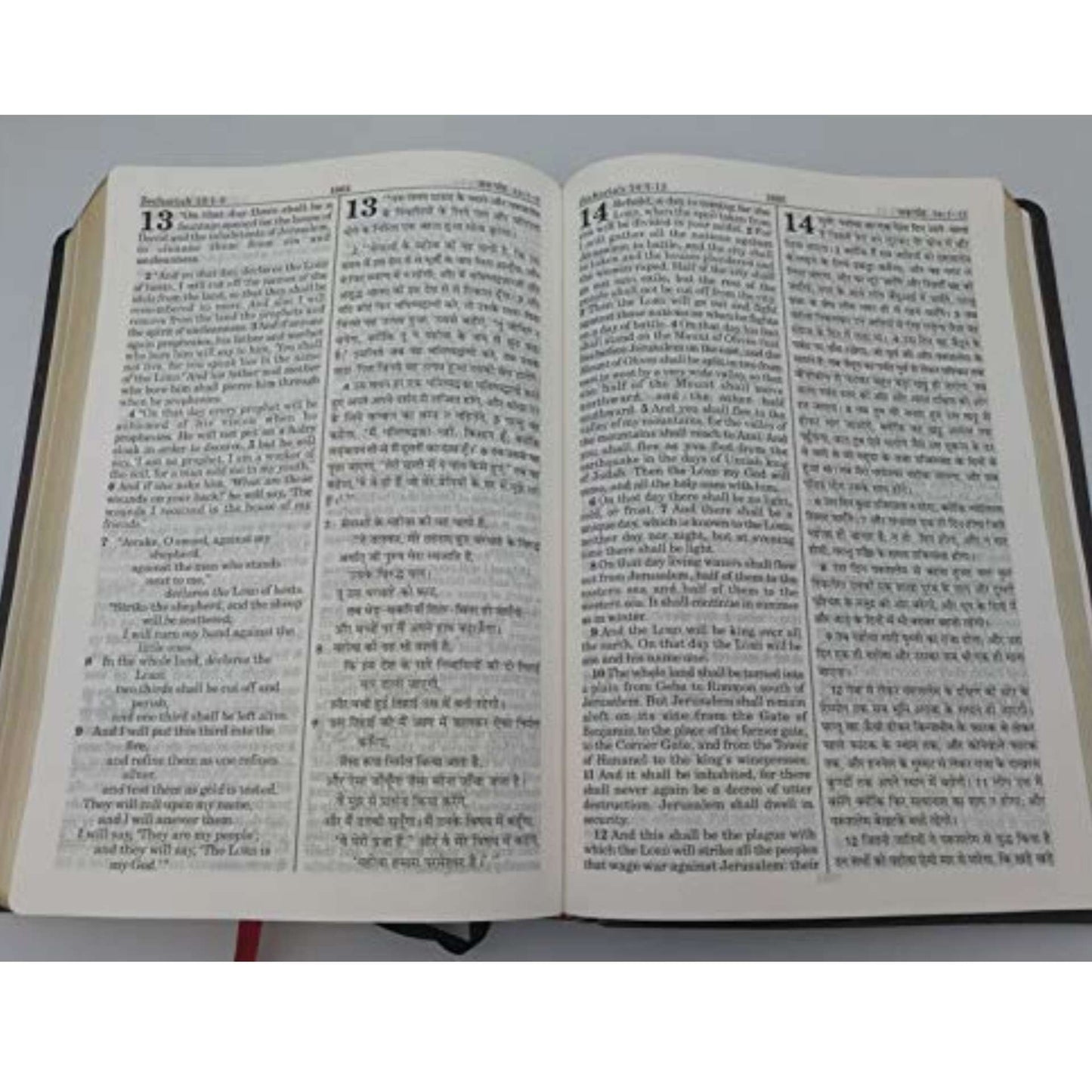 English-Hindi Diglot Bible | New Edition | Leather Bond