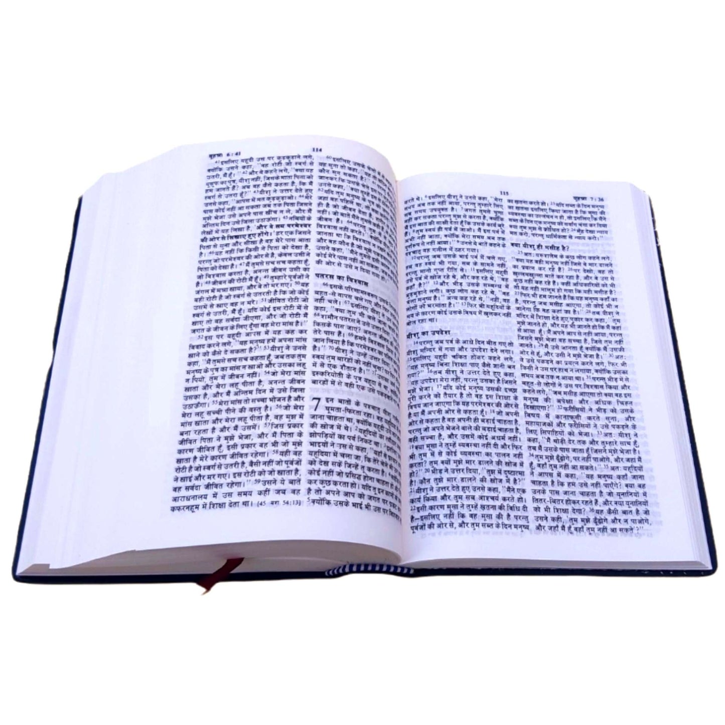 The Holy Hindi Machli Bible