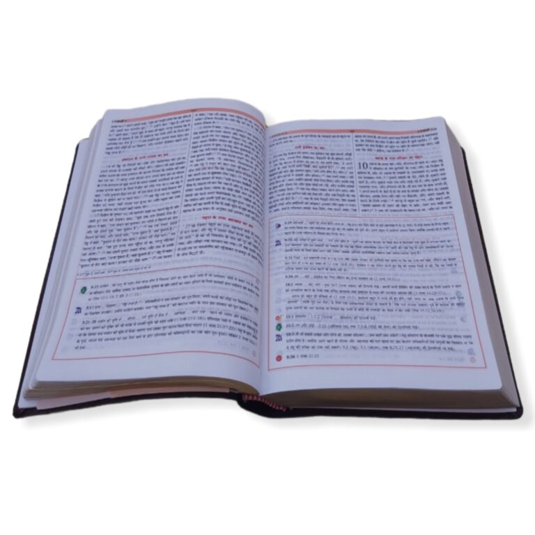 The Holy Hindi Study Bible , Hindi Study Bible , Leather Cover