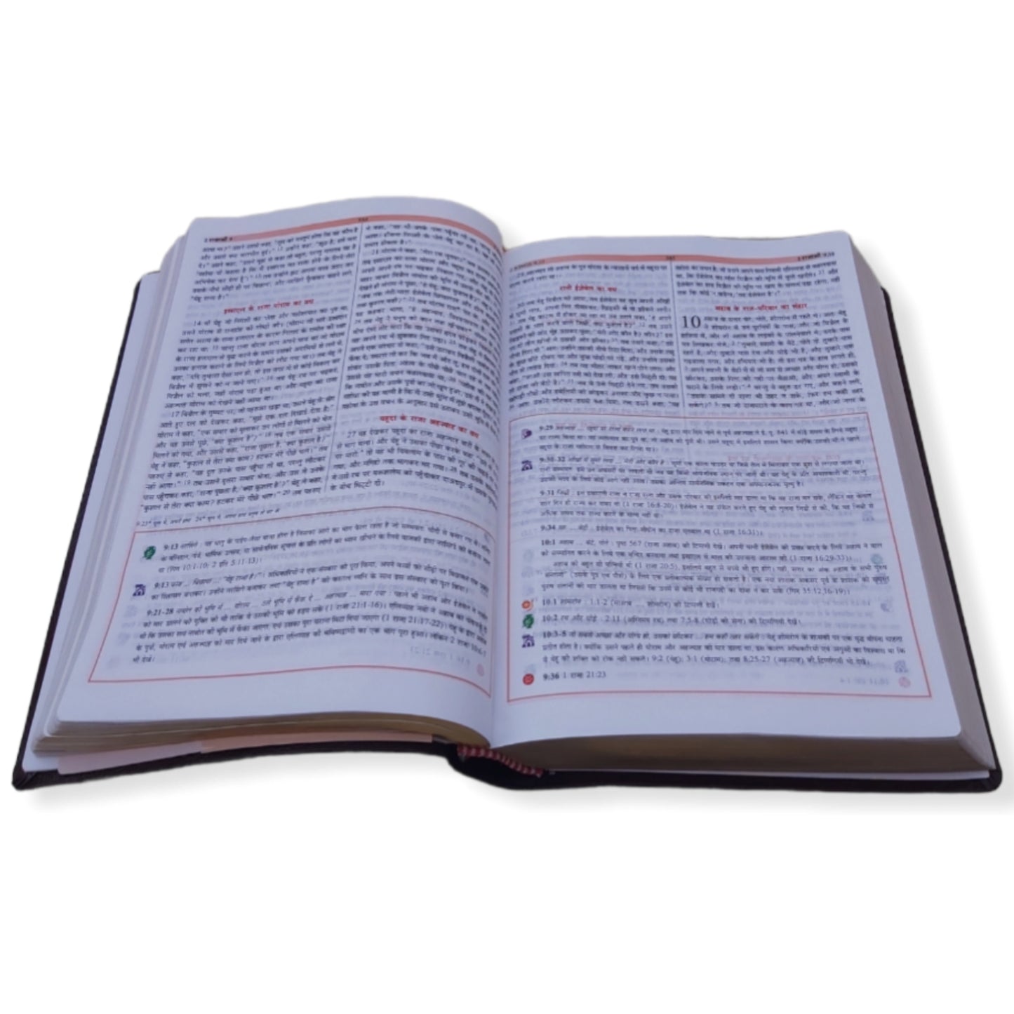 The Holy Hindi Study Bible , Hindi Study Bible , Leather Cover