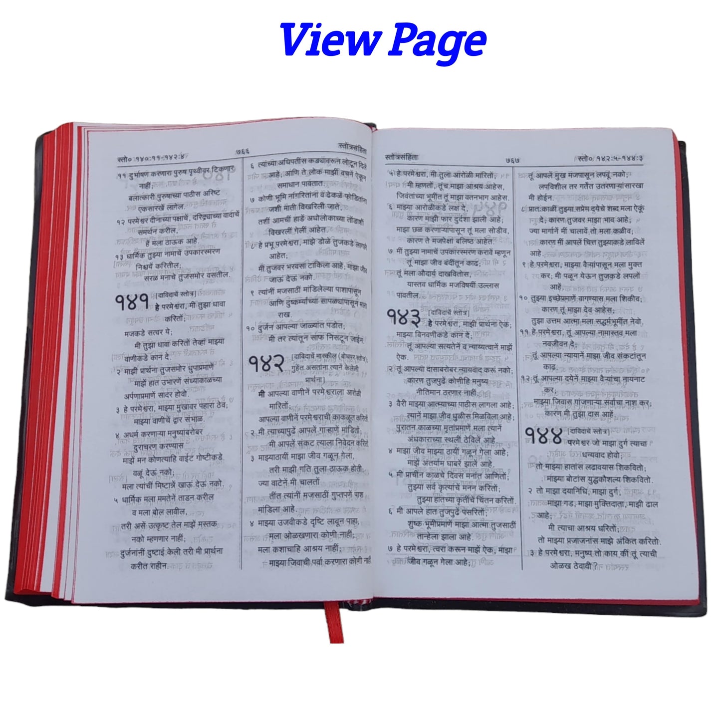 The Holy Marathi Bible New Edition 2023