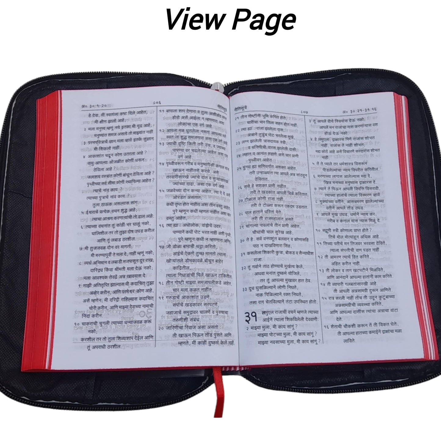 The Holy Marathi Bible With Rexine Cover Combo Offer