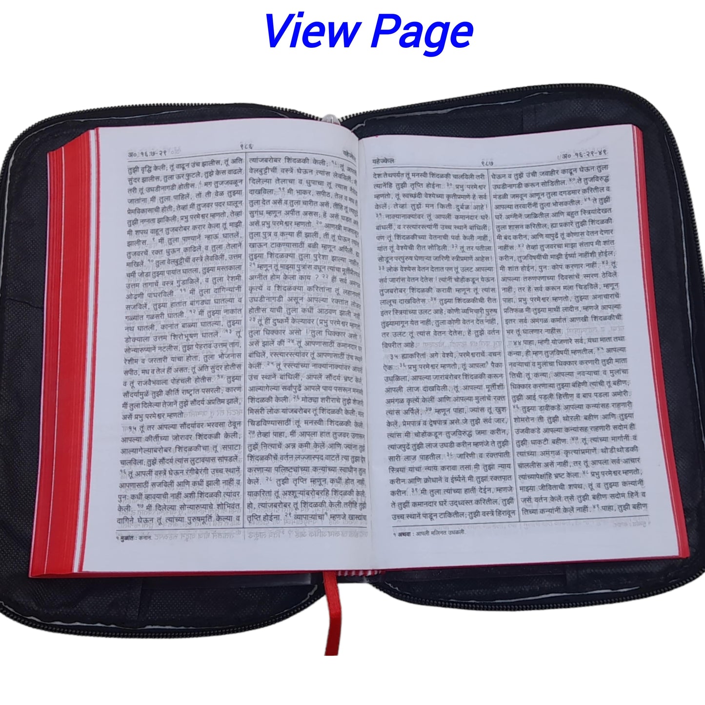The Holy Marathi Bible With Rexine Cover Combo Offer
