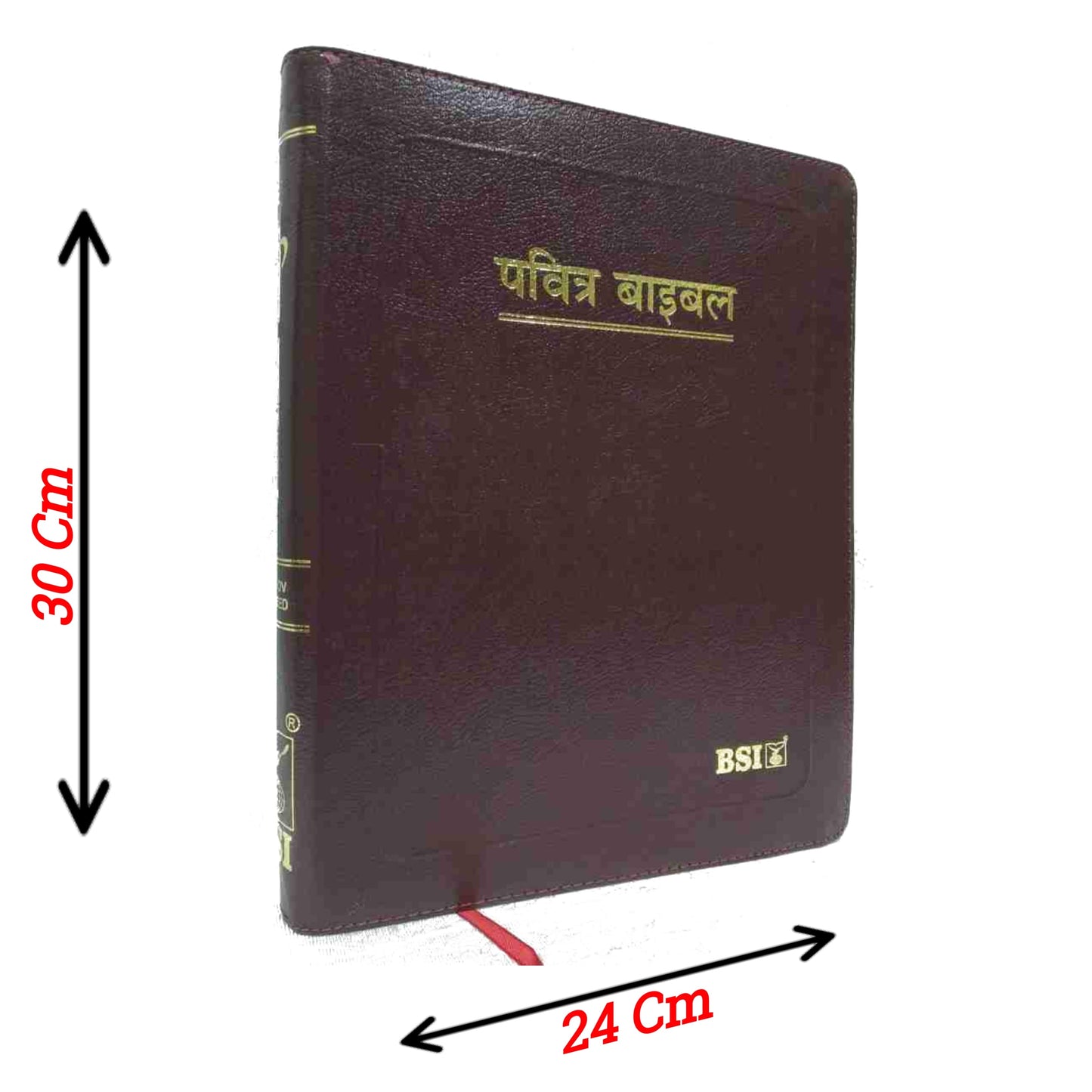 The Holy Pulpit Big Letter Golden Edge Bible In Hindi with Leather Cover