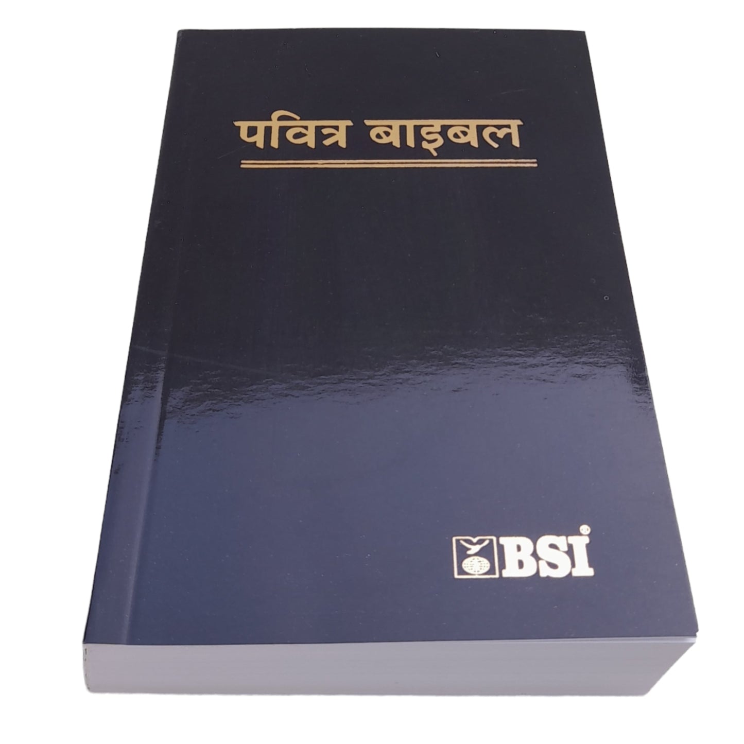 The Holy Small Hindi Bible