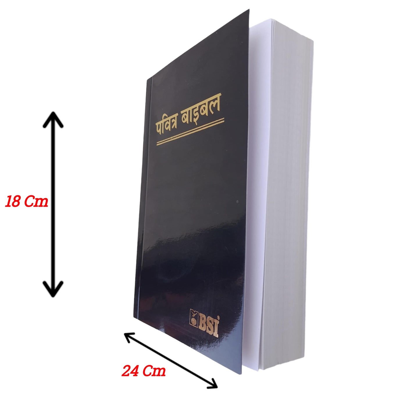 The Holy Small Hindi Bible