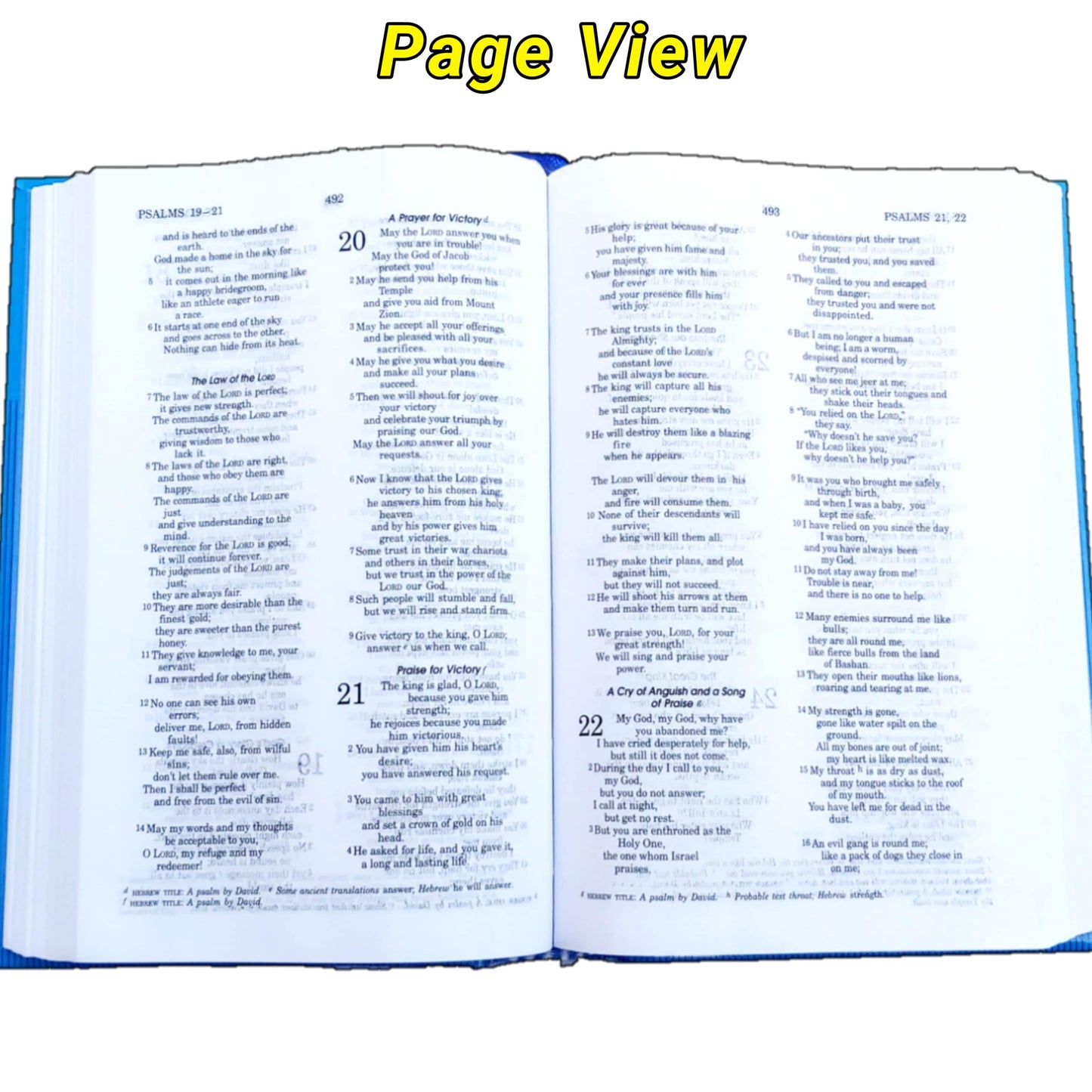 The Holy Bible Good News Compact Edition Blue Color ( Today's English Version )