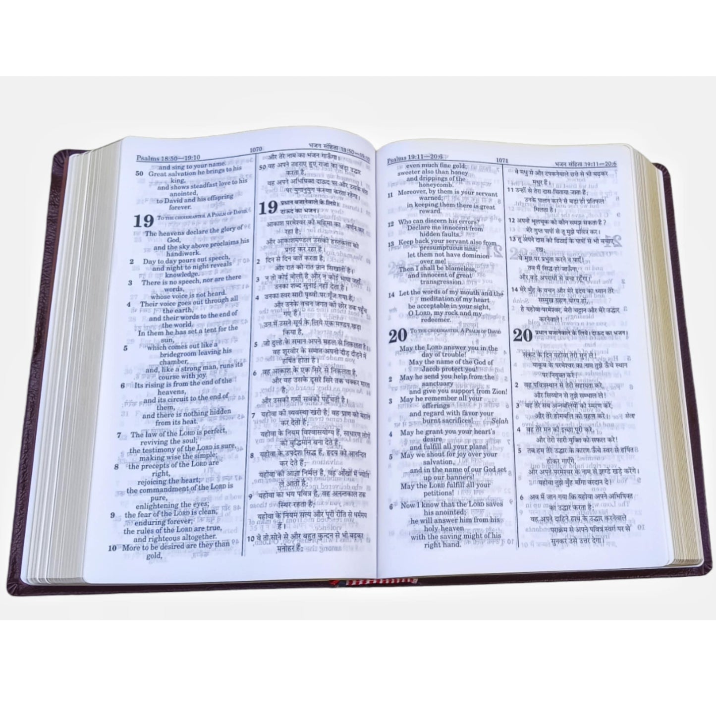English Hindi Diglot Bible in Leather Bond