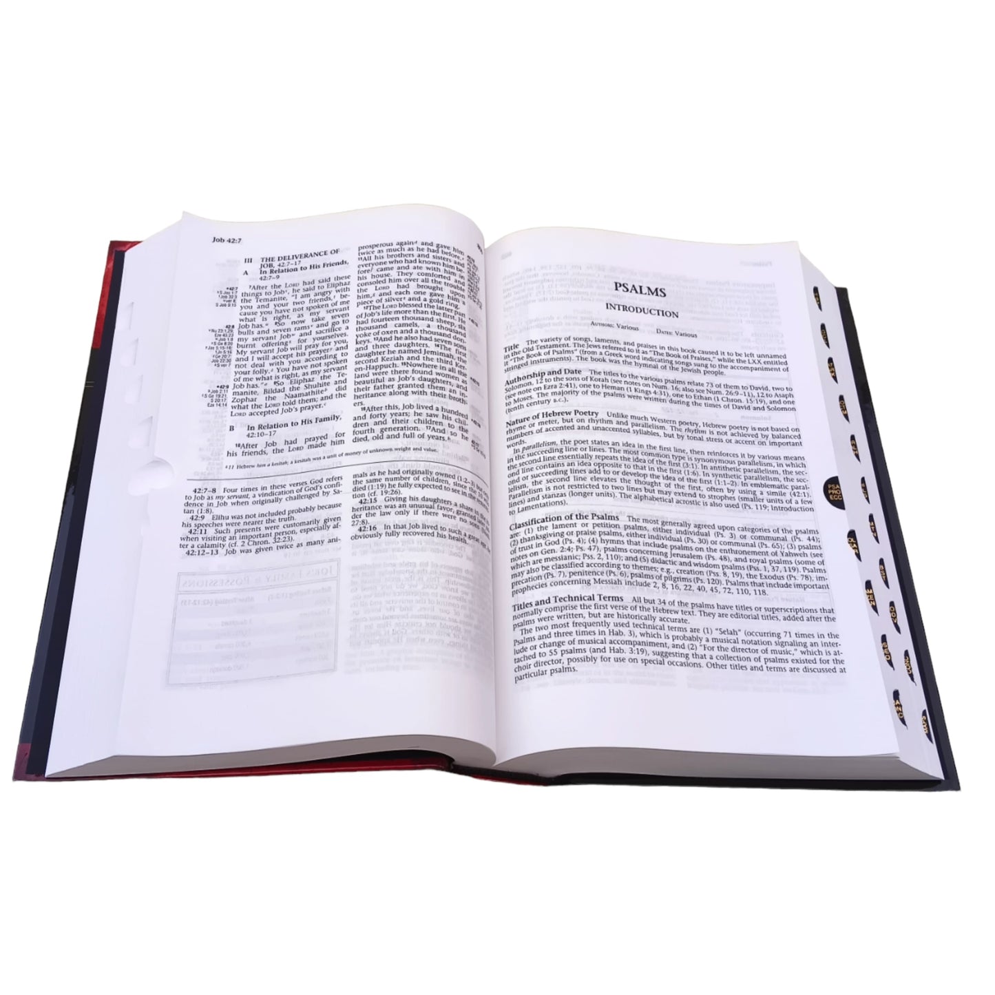 The RYRIE Niv Study Bible With Index