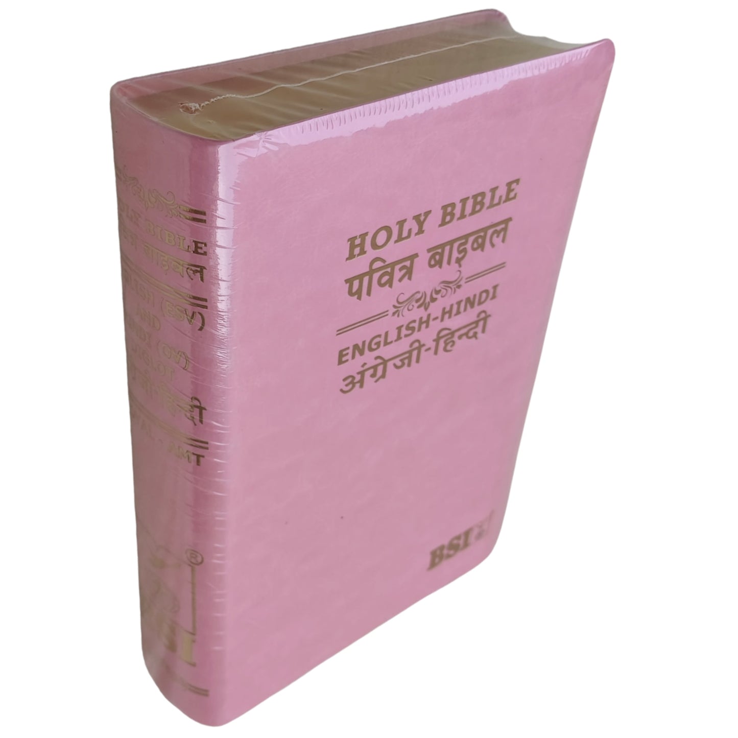 English Hindi Diglot Bible in Leather All In Color